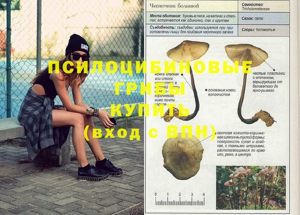 винт Алексеевка
